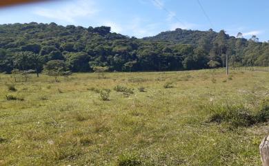 Fazenda à venda com 2 quartos, 290000m² - Foto 10