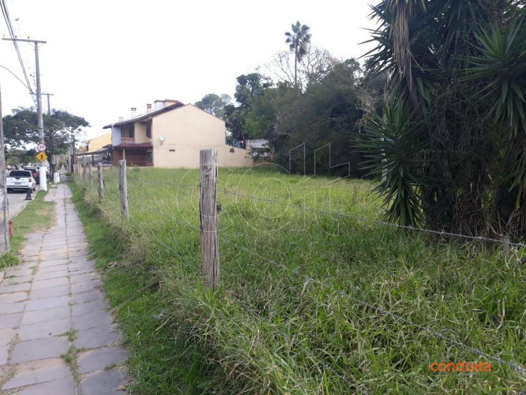 Terreno, 958 m² - Foto 2