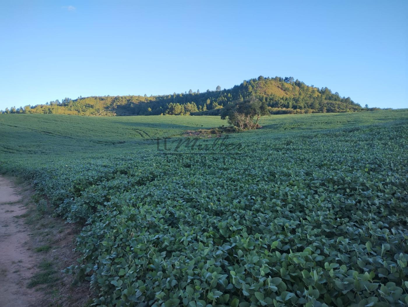 Fazenda à venda, 677m² - Foto 19