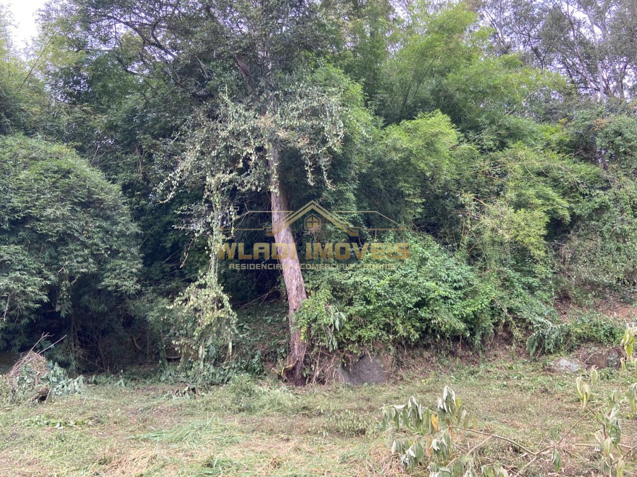 Terreno à venda, 40000m² - Foto 25