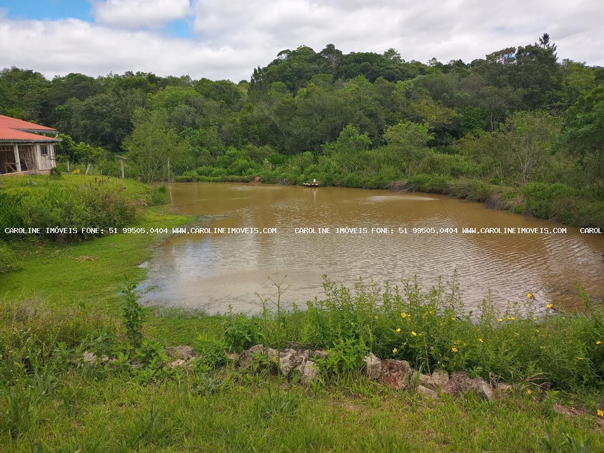 Chácara à venda com 3 quartos, 29000m² - Foto 14