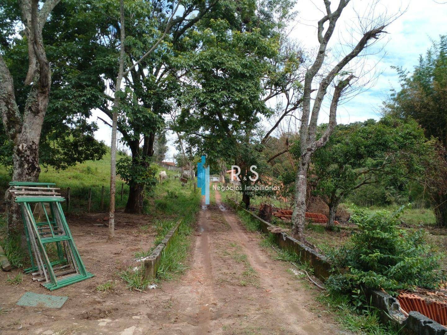 Terreno, 18 hectares - Foto 15