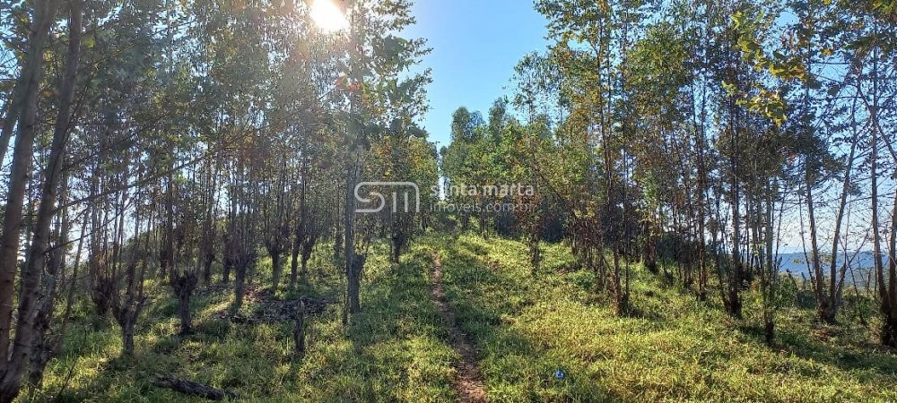 Fazenda à venda com 4 quartos, 72m² - Foto 38