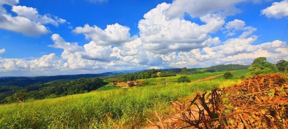 Fazenda à venda, 20535m² - Foto 1