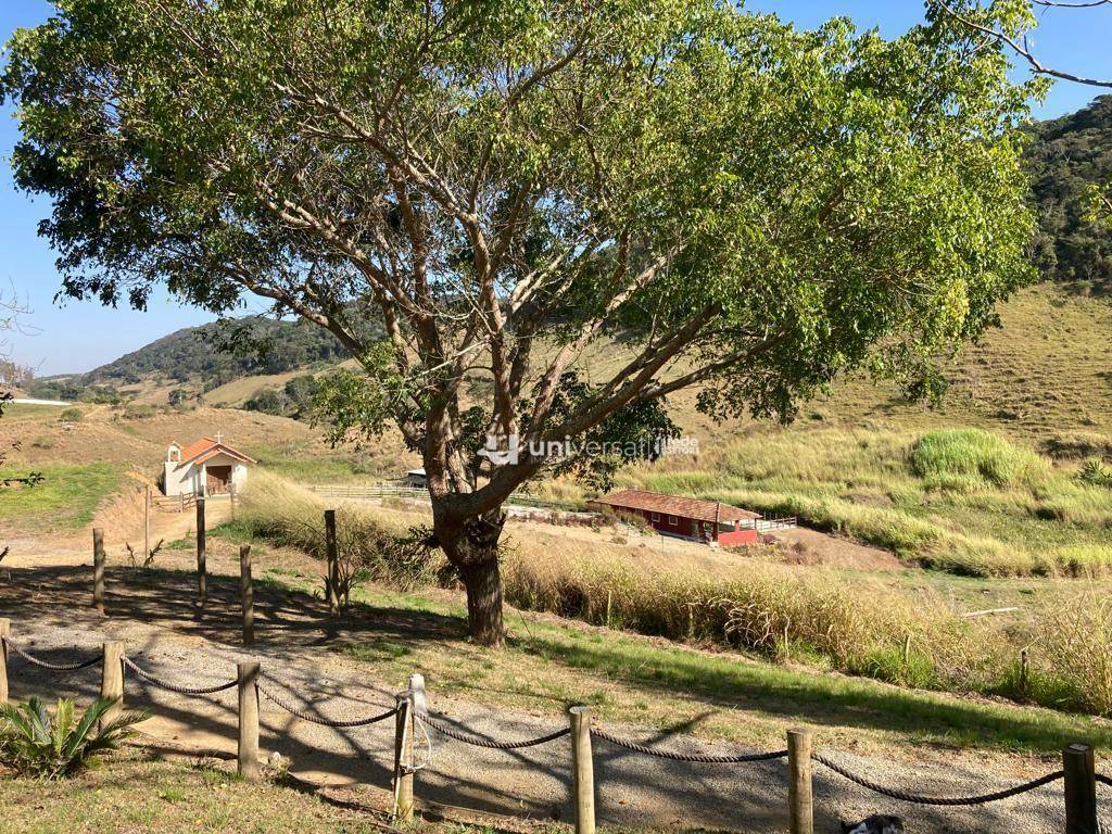 Fazenda à venda com 5 quartos, 383100M2 - Foto 14