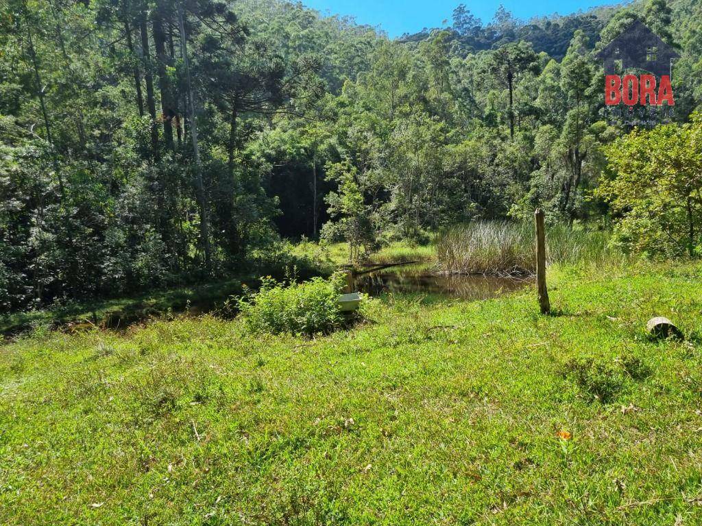 Fazenda à venda com 2 quartos, 1113200M2 - Foto 5