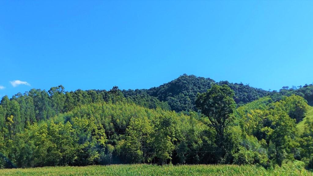 Fazenda à venda, 100000m² - Foto 25