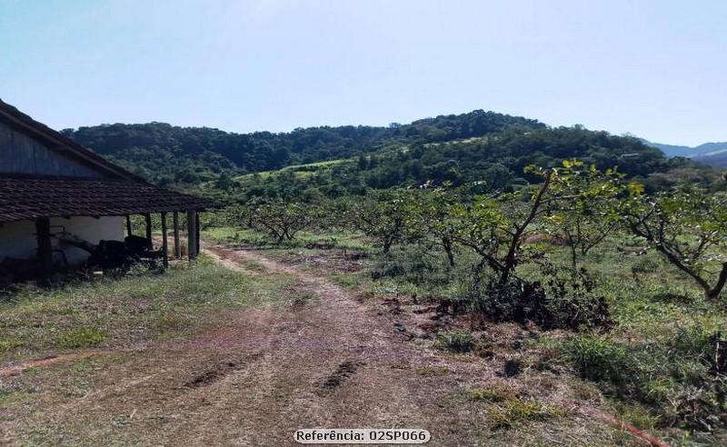 Fazenda à venda com 4 quartos, 120000m² - Foto 8