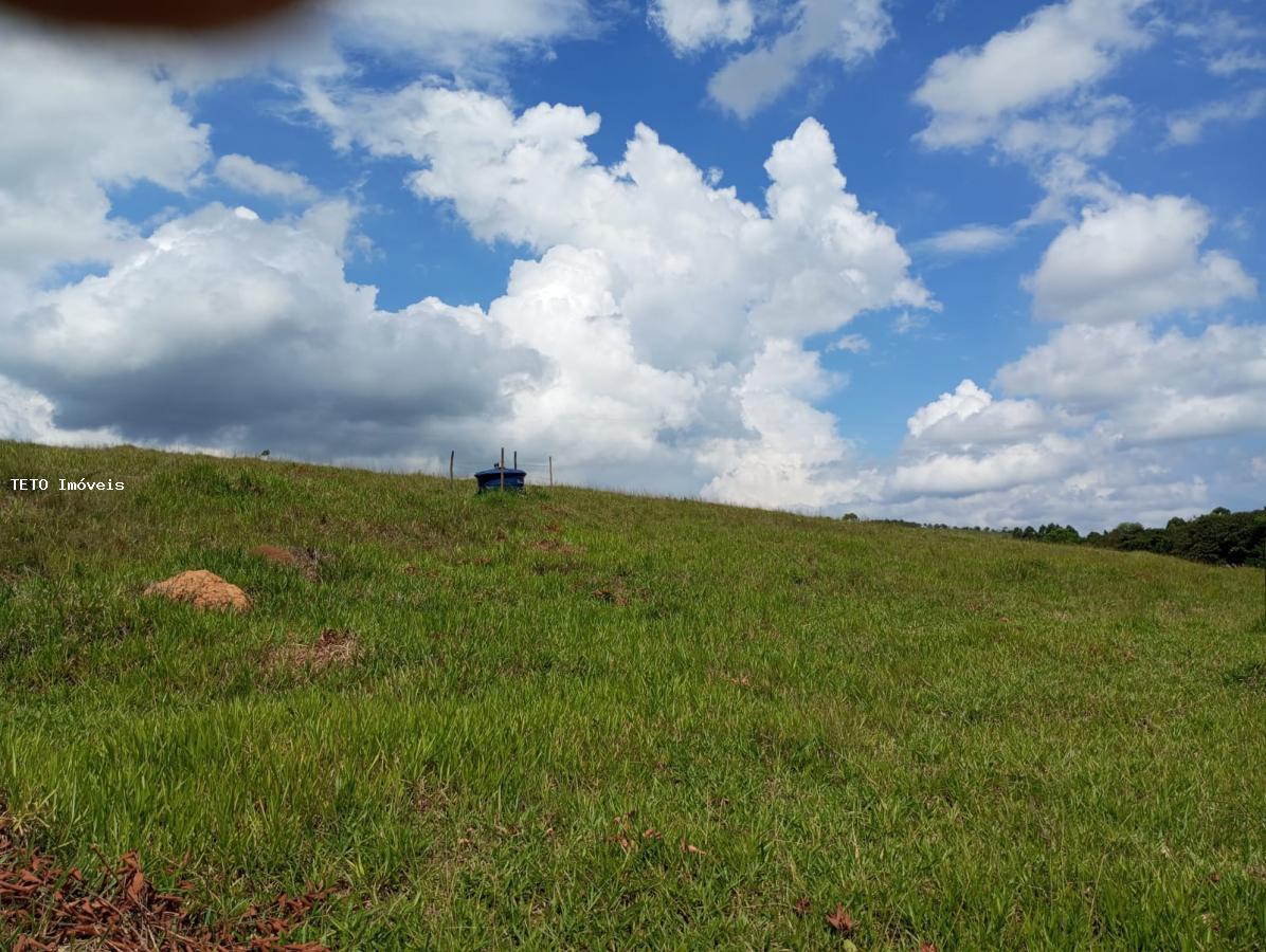 Fazenda à venda com 2 quartos, 25000m² - Foto 29