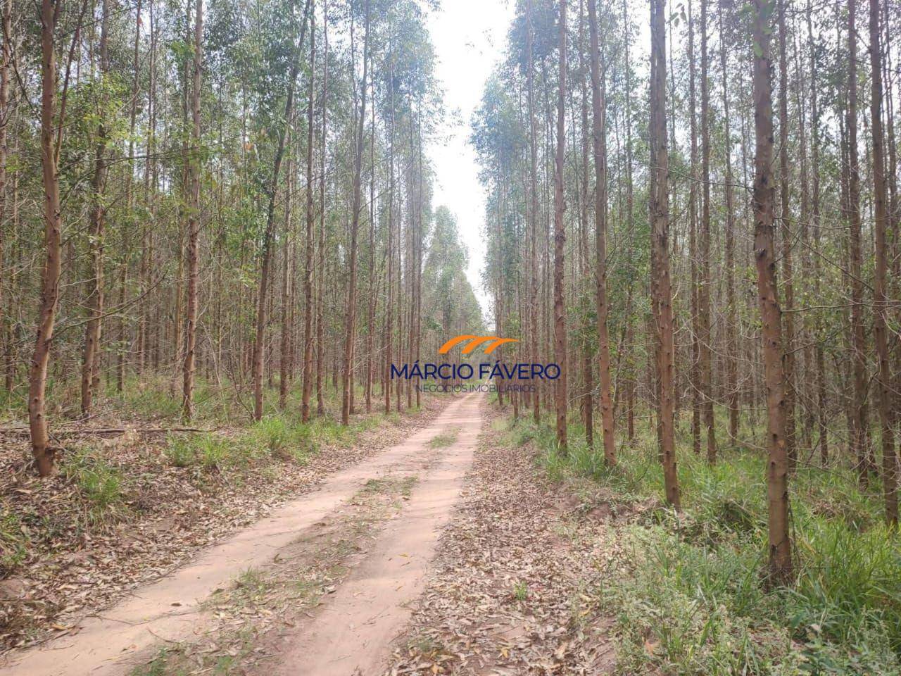 Fazenda, 288 hectares - Foto 1