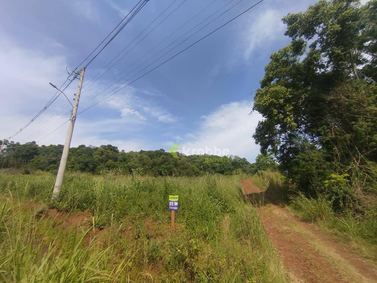 Terreno, 12 hectares - Foto 4