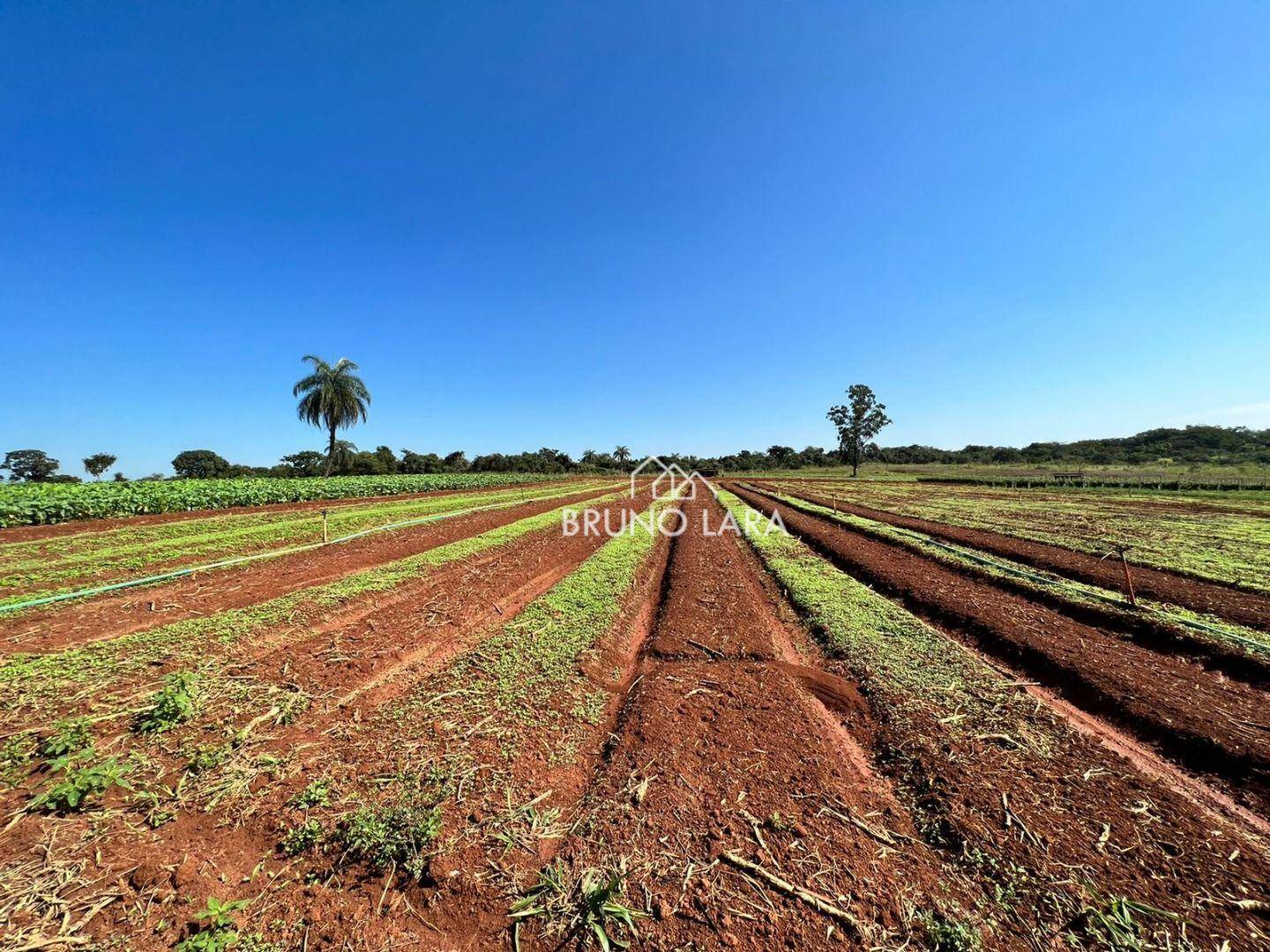 Fazenda à venda com 6 quartos, 1200m² - Foto 2