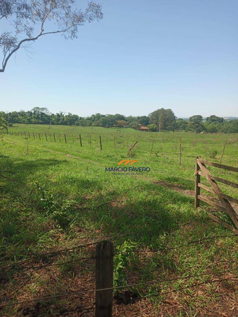 Fazenda, 385 hectares - Foto 2