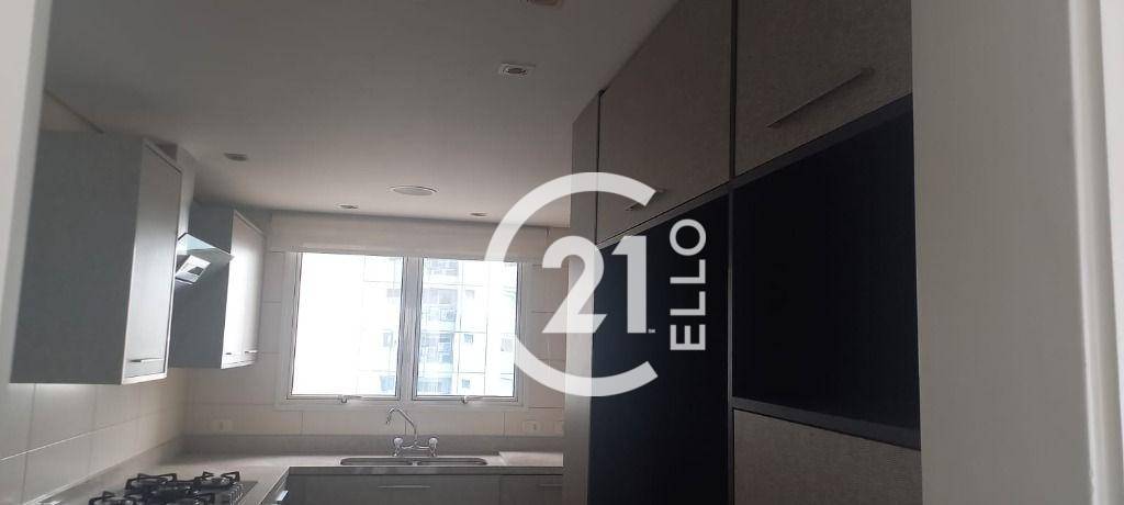 Apartamento à venda com 3 quartos, 223m² - Foto 9