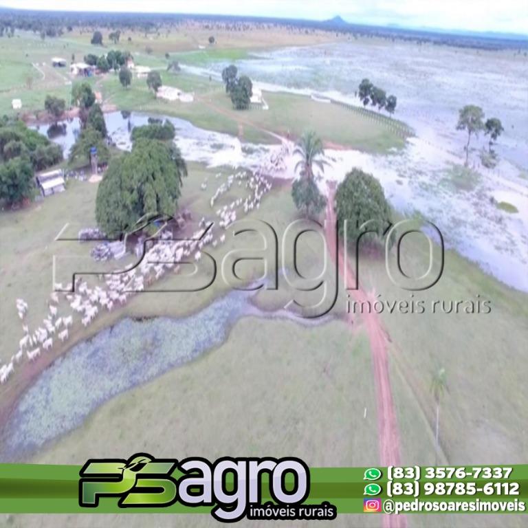 Fazenda-Sítio-Chácara, 12000 hectares - Foto 3