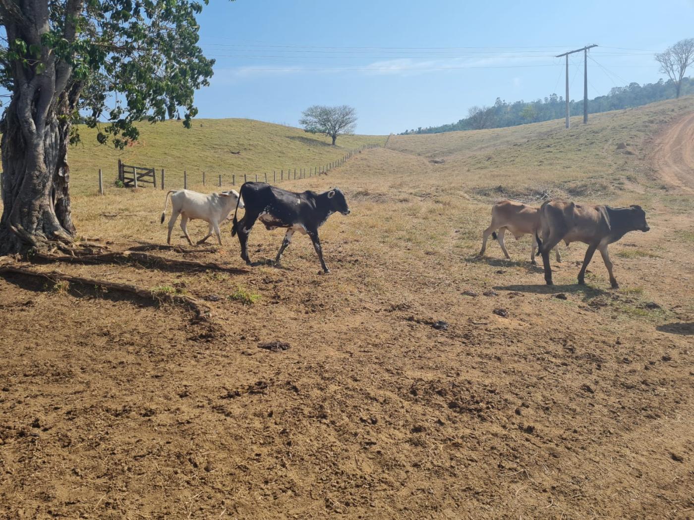 Fazenda à venda, 417m² - Foto 7