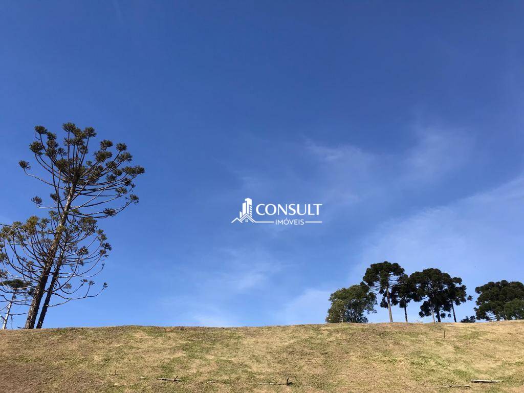 Loteamento e Condomínio, 670 m² - Foto 2