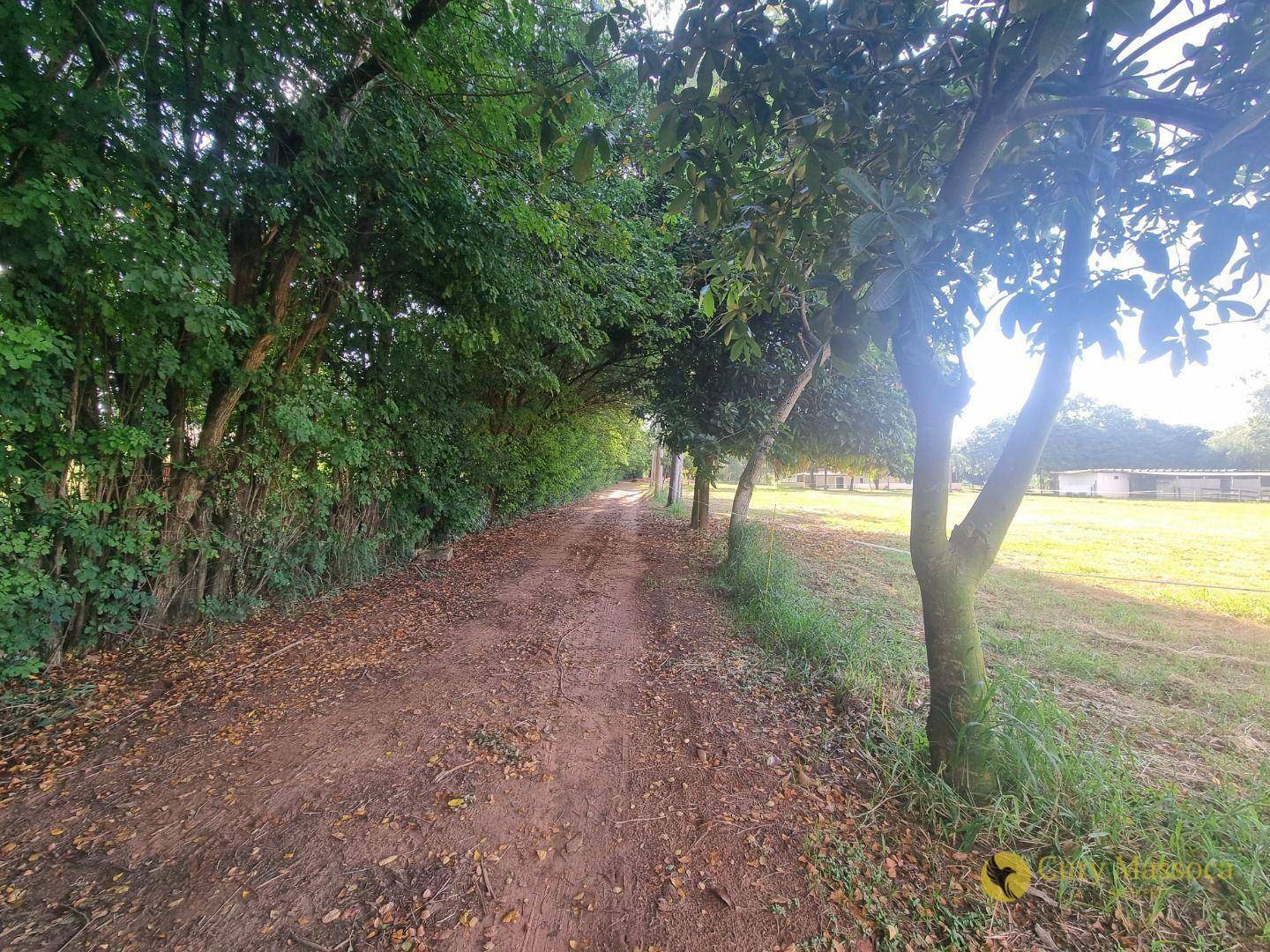 Chácara à venda com 2 quartos, 180m² - Foto 3