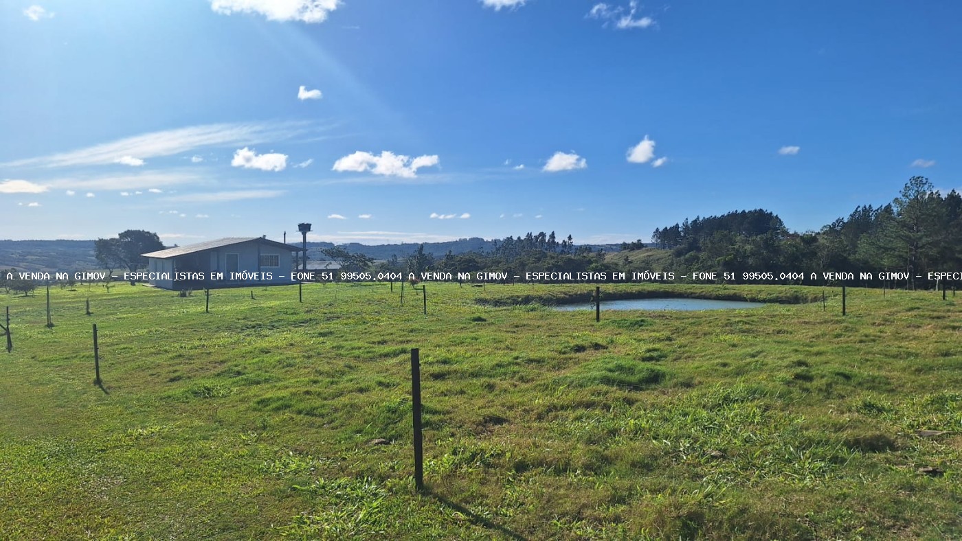 Sítio à venda com 2 quartos, 60000m² - Foto 11