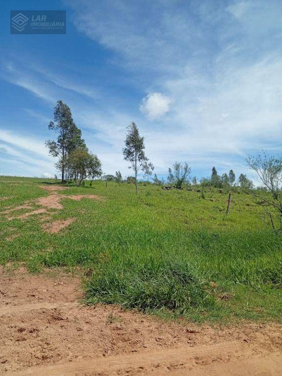 Terreno, 7 hectares - Foto 1