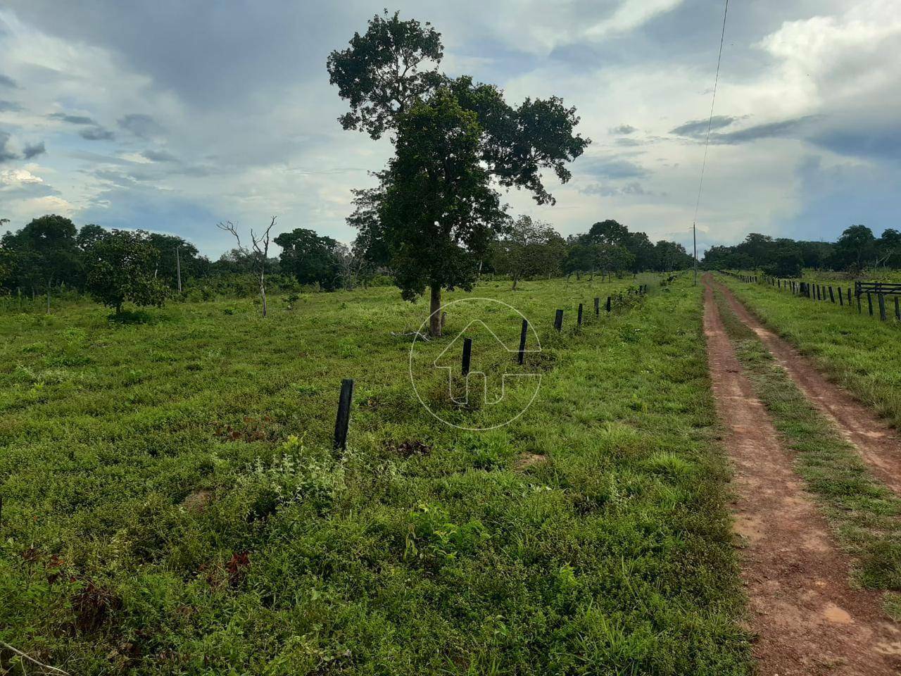 Fazenda à venda, 726000M2 - Foto 9