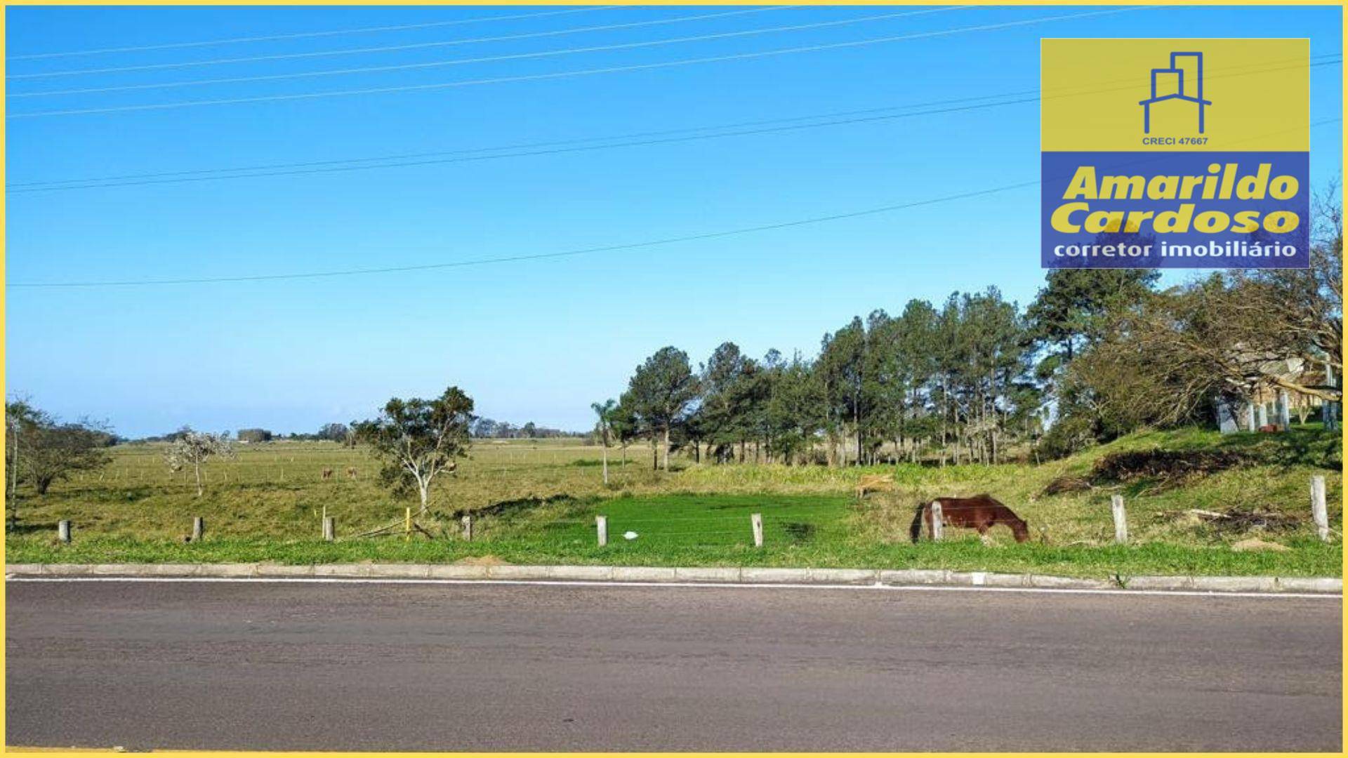 Terreno à venda, 9000M2 - Foto 7