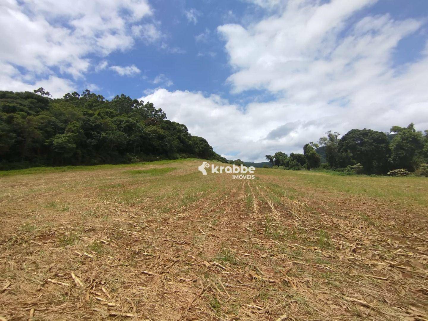 Terreno à venda, 51600M2 - Foto 2