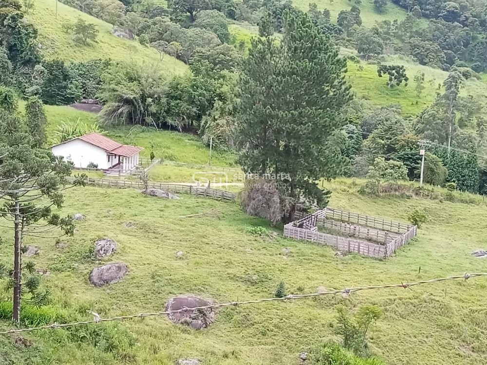 Fazenda-Sítio-Chácara, 62 hectares - Foto 3