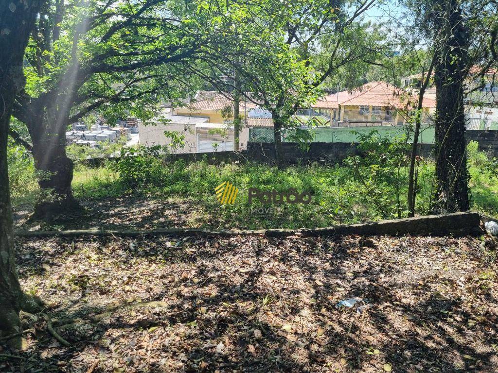 Terreno, 2 hectares - Foto 5