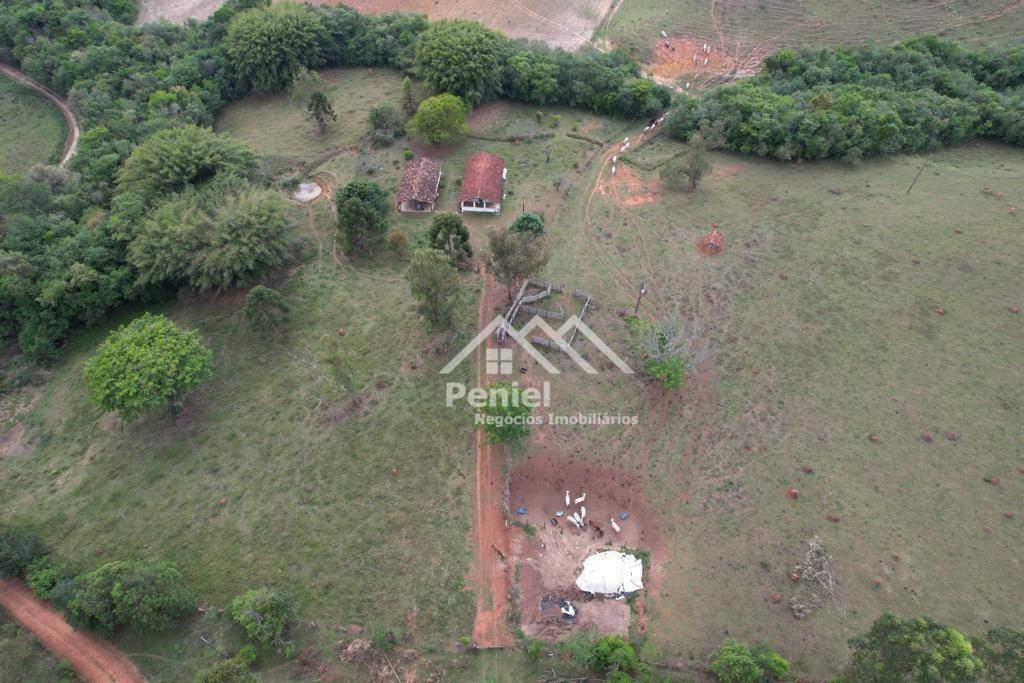 Fazenda à venda, 190516M2 - Foto 7