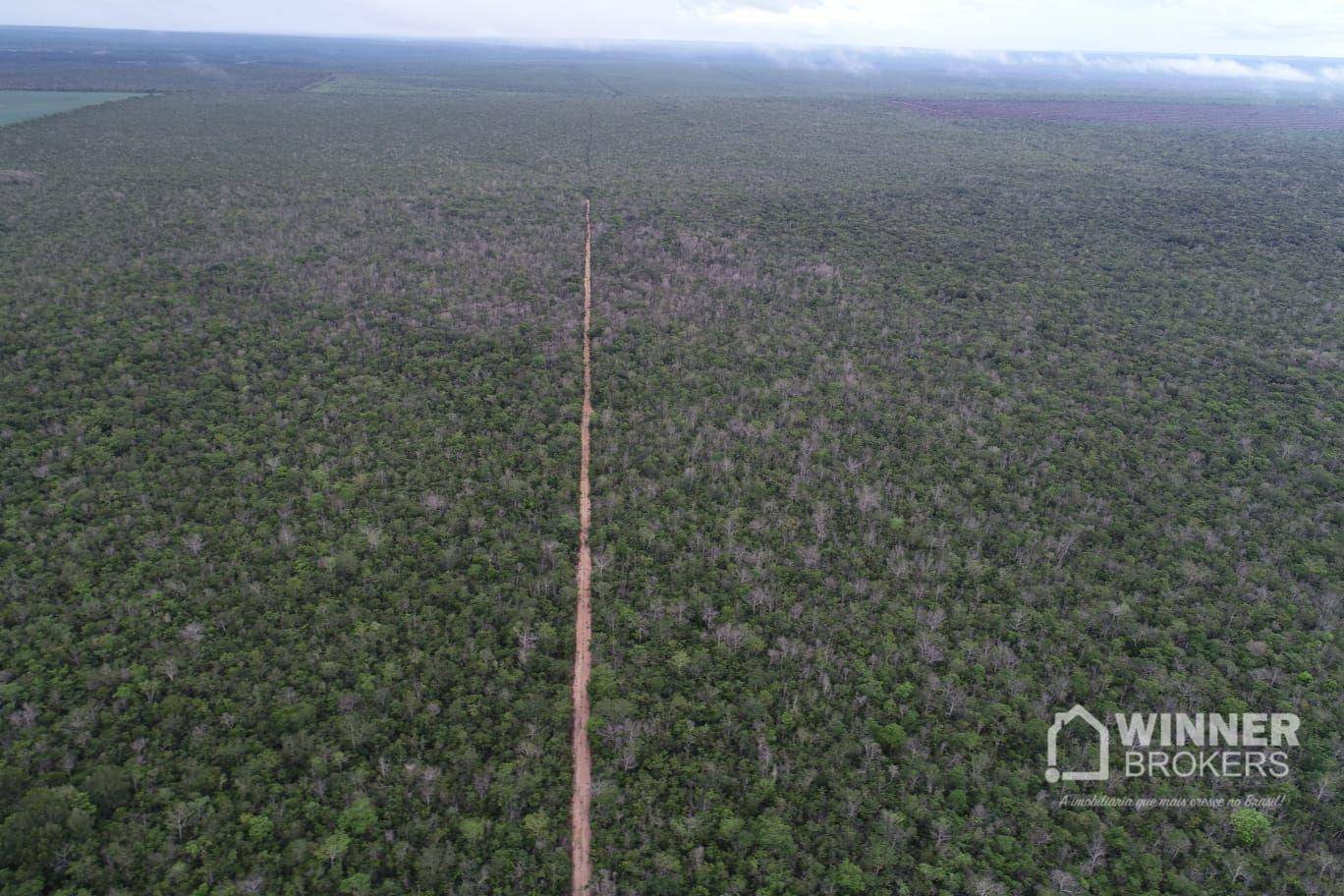 Fazenda-Sítio-Chácara, 563 hectares - Foto 11