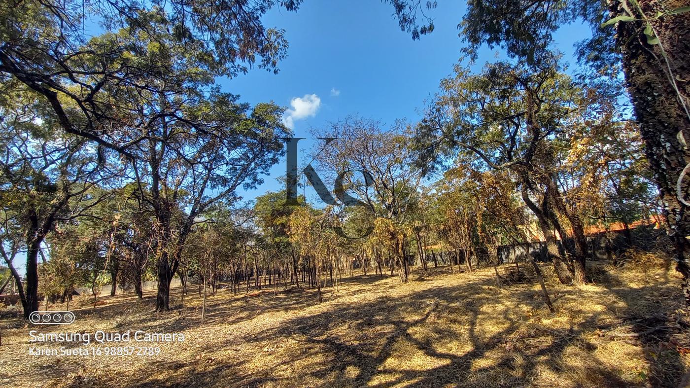 Fazenda à venda, 5850m² - Foto 9