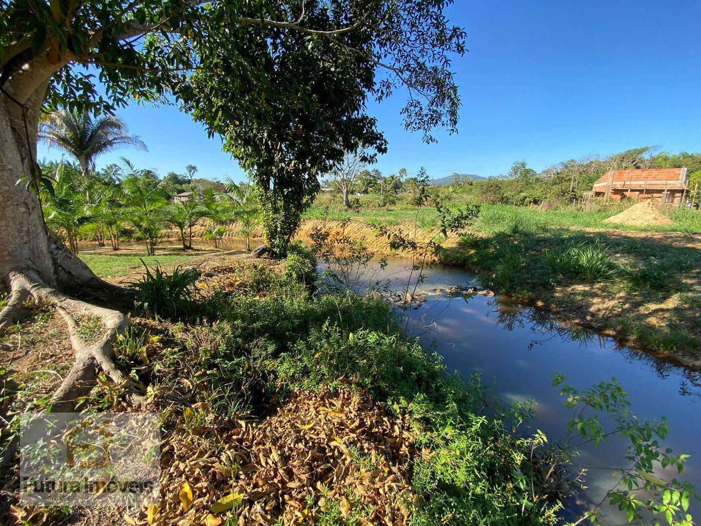 Chácara à venda com 3 quartos, 6000M2 - Foto 30