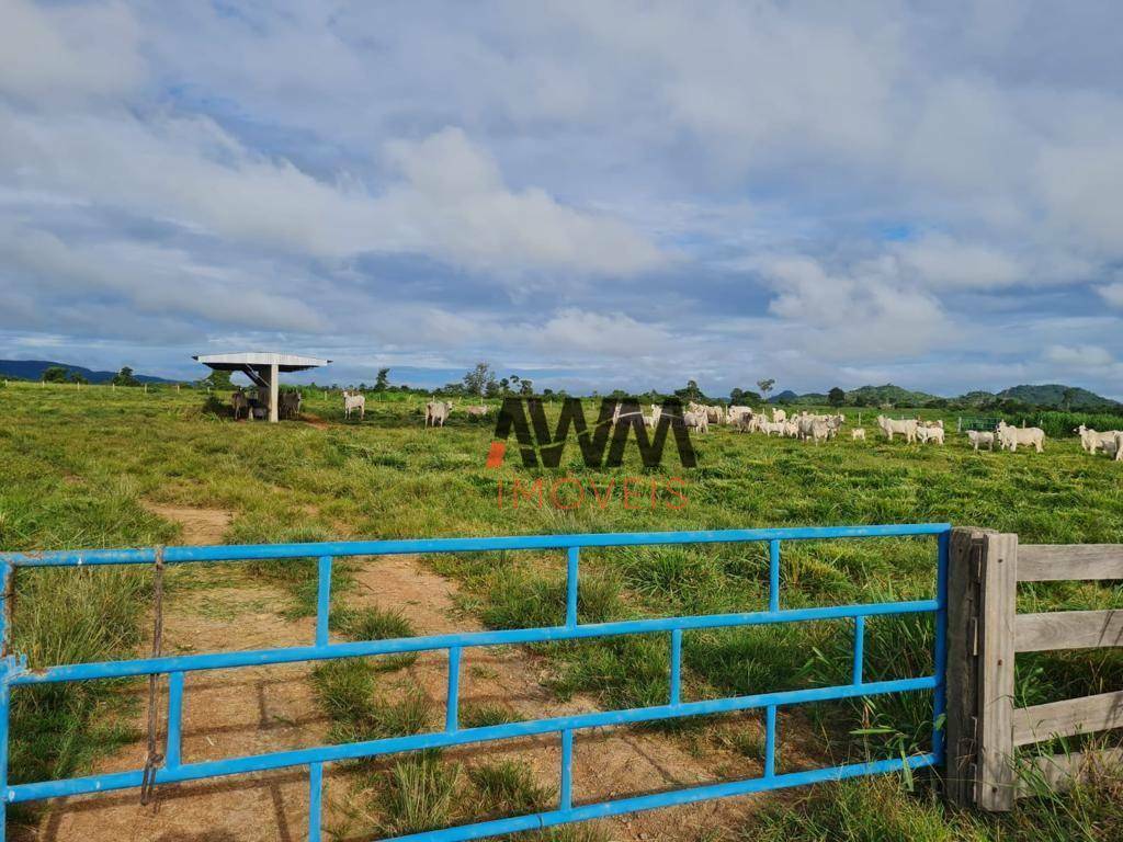 Fazenda-Sítio-Chácara, 1936 hectares - Foto 5