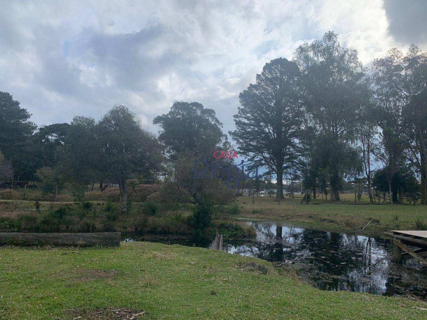 Terreno, 6609 m² - Foto 3