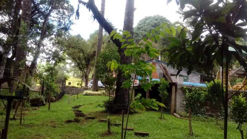 Casa à venda com 3 quartos, 60m² - Foto 26