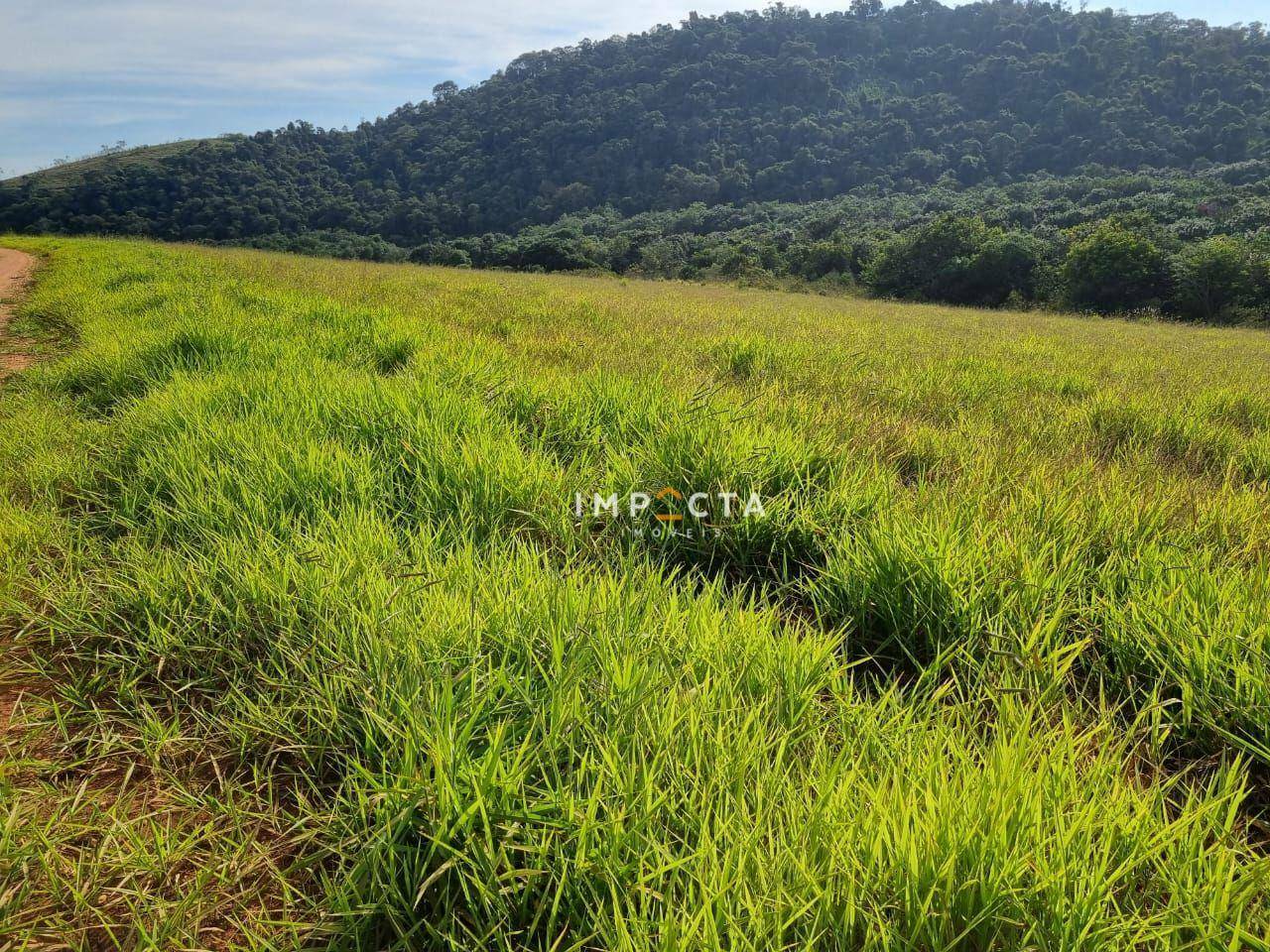 Terreno à venda, 1597200M2 - Foto 22