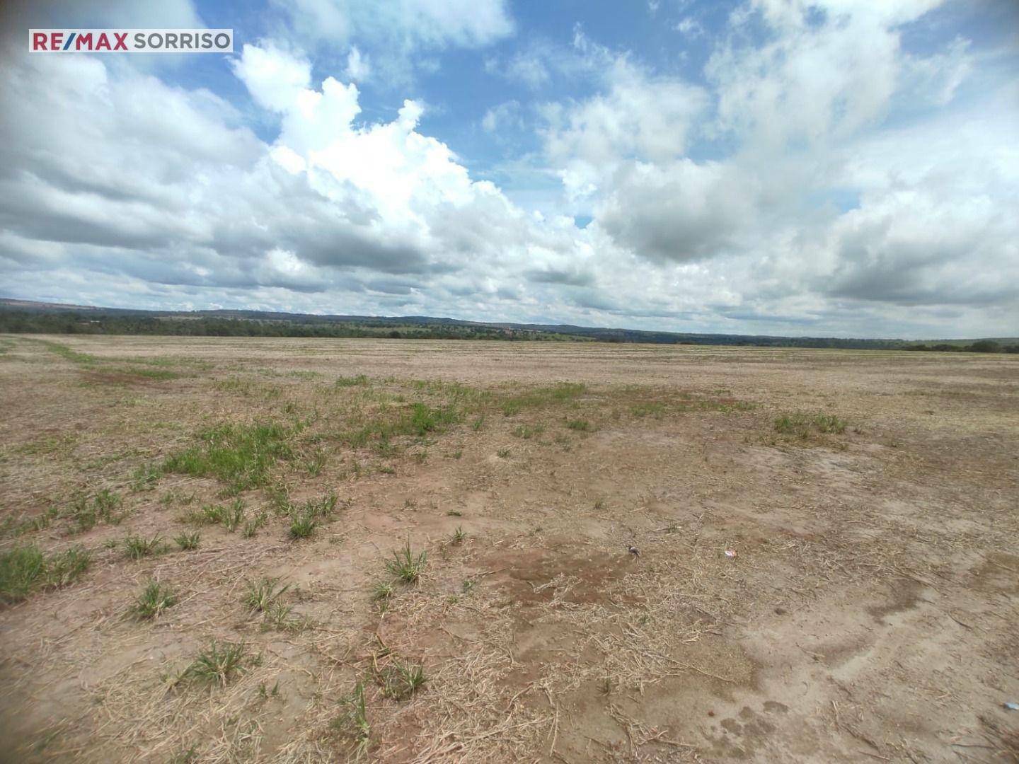 Chácara, 34 hectares - Foto 5