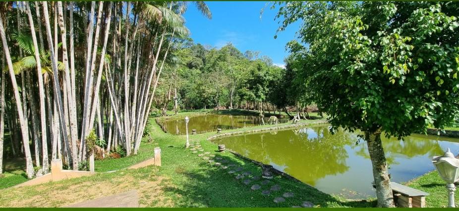 Fazenda à venda com 5 quartos, 24000m² - Foto 8