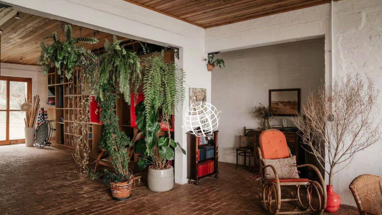 Sítio, 4 quartos, 80 hectares - Foto 2