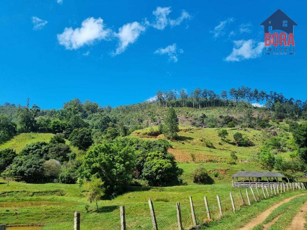 Fazenda à venda com 2 quartos, 1113200M2 - Foto 7