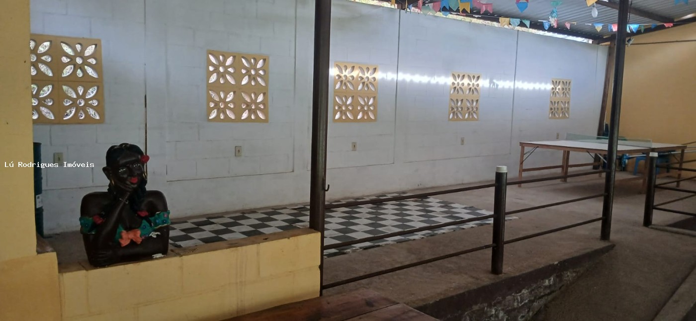 Chácara à venda com 3 quartos, 16000m² - Foto 3