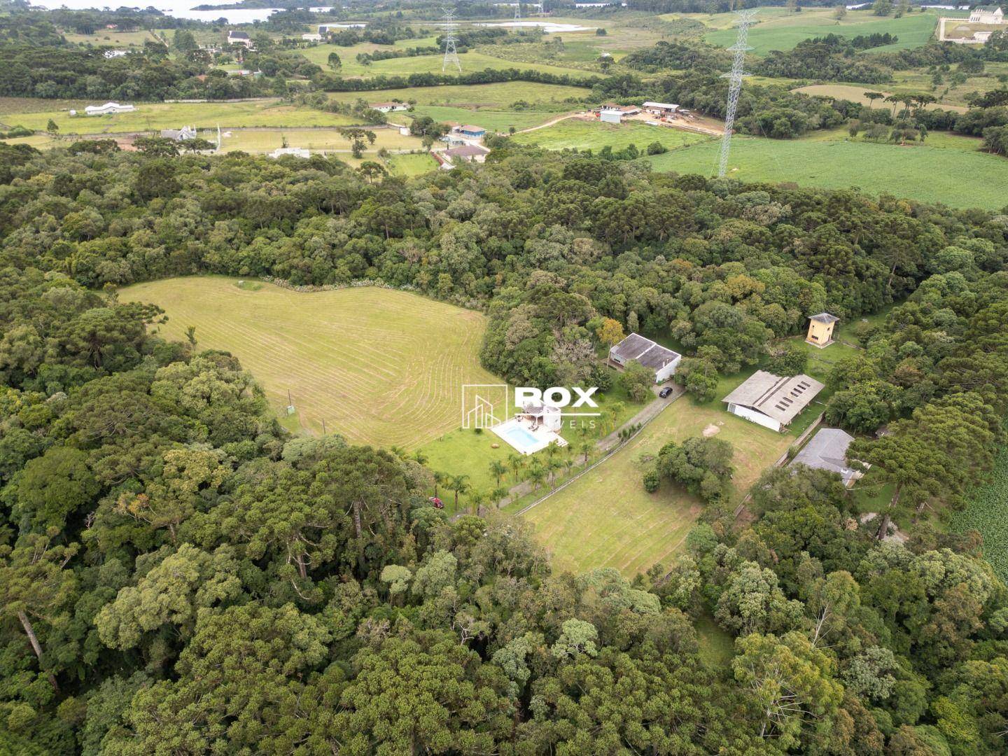 Chácara, 2 quartos, 5416 m² - Foto 3