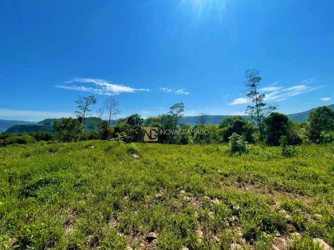 Sítio, 6 quartos, 45 hectares - Foto 7