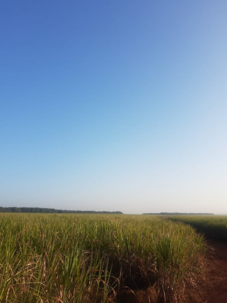 Fazenda à venda, 2600m² - Foto 7