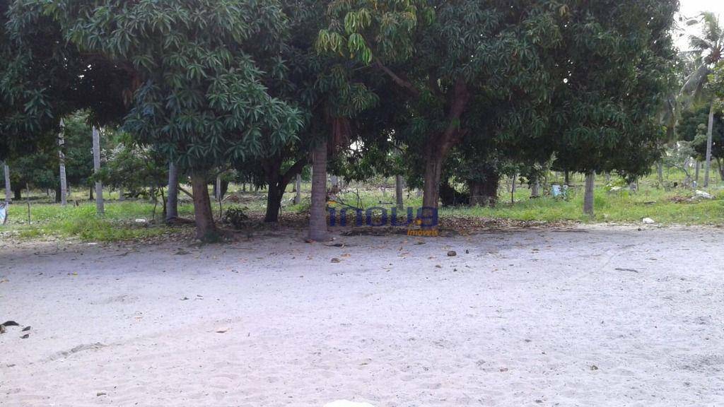 Terreno, 24 m² - Foto 13