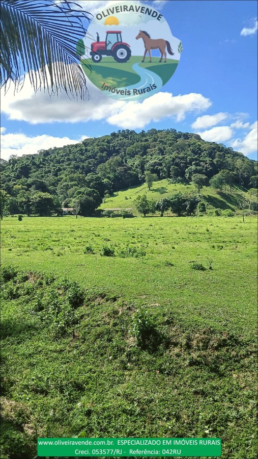 Fazenda à venda com 5 quartos, 96m² - Foto 39