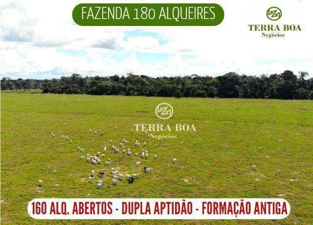 Fazenda-Sítio-Chácara, 436 hectares - Foto 1