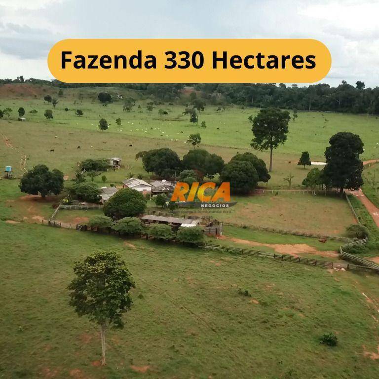 Fazenda-Sítio-Chácara, 330 hectares - Foto 1