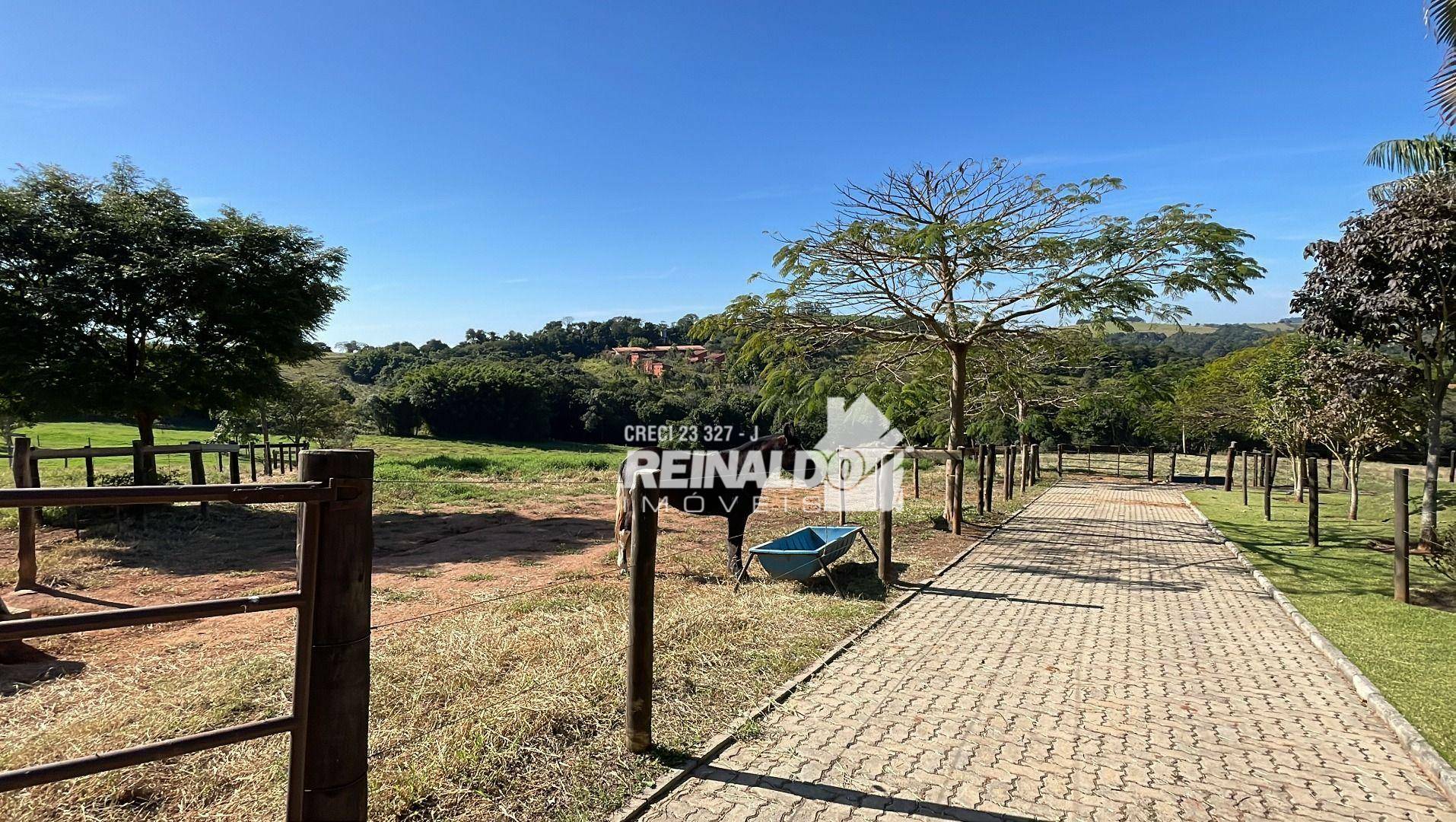 Haras e Área Rural Padrão à venda com 4 quartos, 1050m² - Foto 12